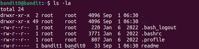 ls files in home directory